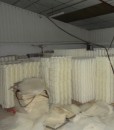 Automatic_fresh_white_cheese_processing_line_2103